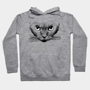 Devon rex Hoodie